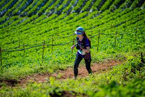 BIB: 
                            <button type="button" onclick="openModal(19162877)" class="btn btn-primary btn-sm float-right btn-popup" data-toggle="modal" data-target=".modal-high-quality">
                        <i class="fas fa-shopping-cart"></i> Add to Cart
                    </button>
                                            <button type="button" onclick="isThisMe(19162877, true)" class="btn btn-success btn-sm float-right btn-popup btn-isme hidden" data-toggle="tooltip" data-placement="bottom" title="นี่คือรูปของคุณใช่ไหม คลิกที่นี่เพื่อเอาเข้าอัลบั้ม">
                        <i class="fas fa-plus"></i> Add to album
                    </button>
                    <button type="button" onclick="isThisMe(19162877, false)" class="btn btn-warning btn-sm float-right btn-popup btn-isnotme hidden">
                        <i class="fas fa-ban"></i> Remove from album
                    </button>